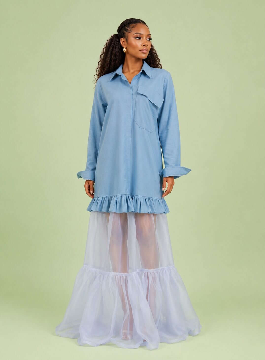 the organza lux shirt dress (2) the organza lux shirt dress (2)