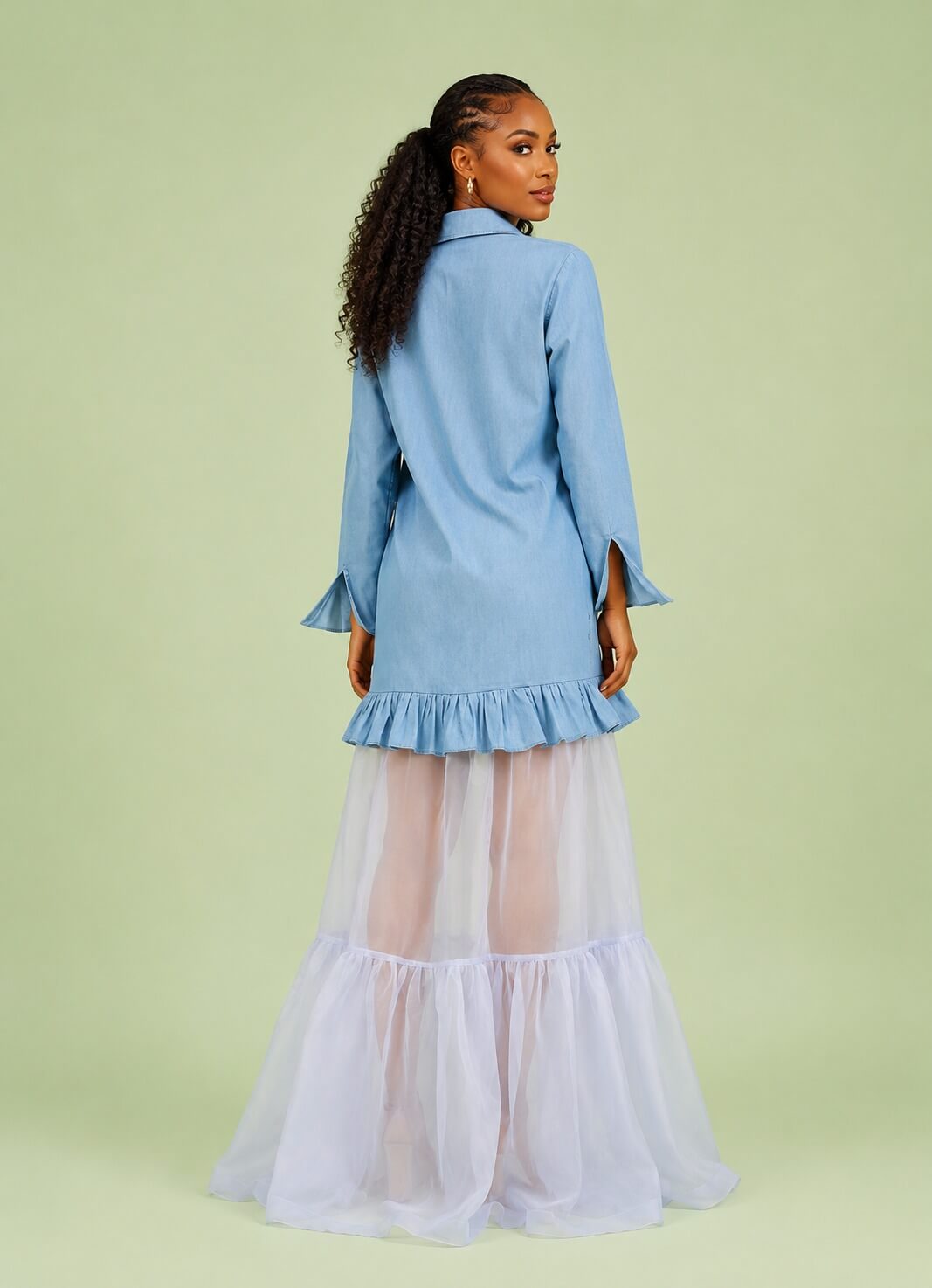 the organza lux shirt dress (3) the organza lux shirt dress (3)